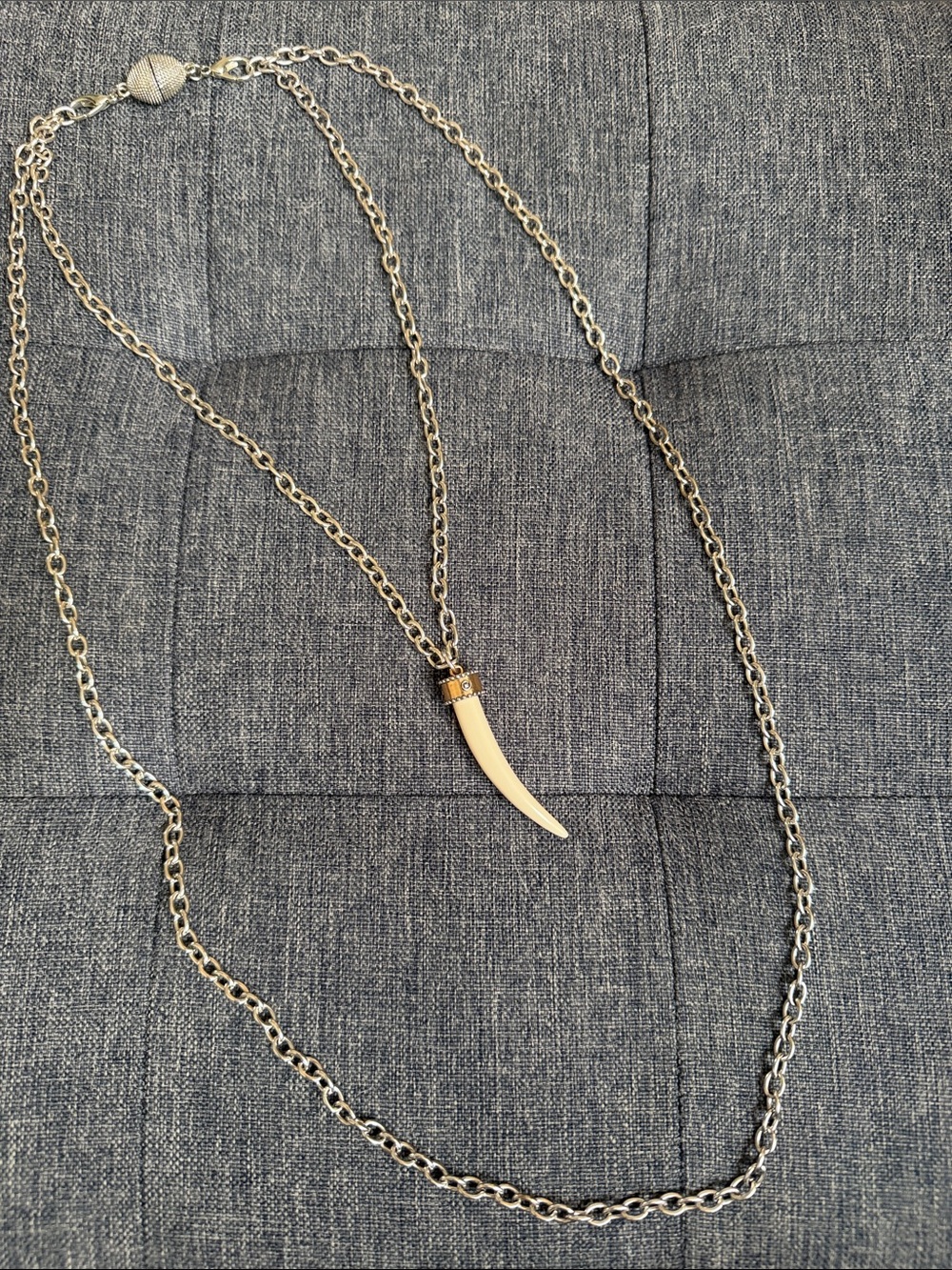 Silver Chain Necklace with Tusk Pendant